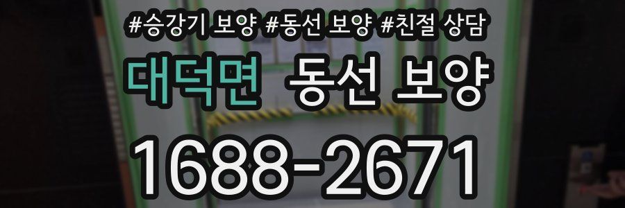 대덕면 동선 보양
