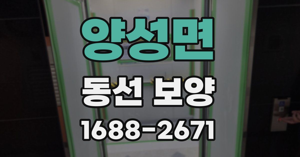 양성면 동선 보양