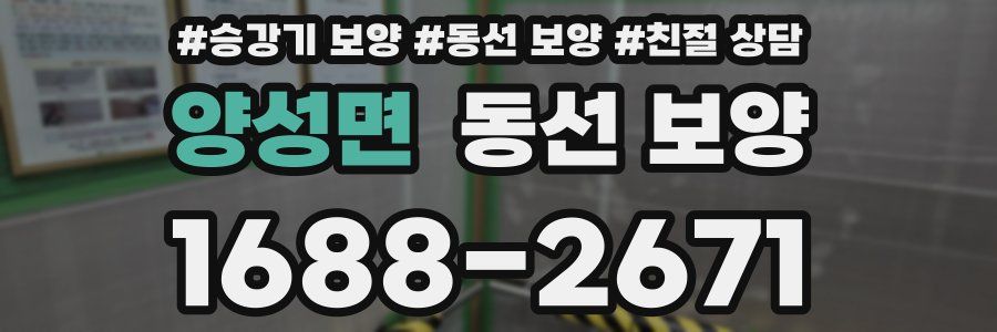 양성면 동선 보양