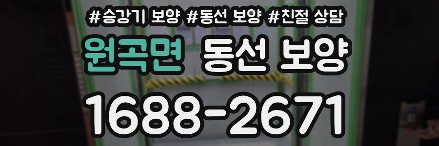 원곡면 동선 보양