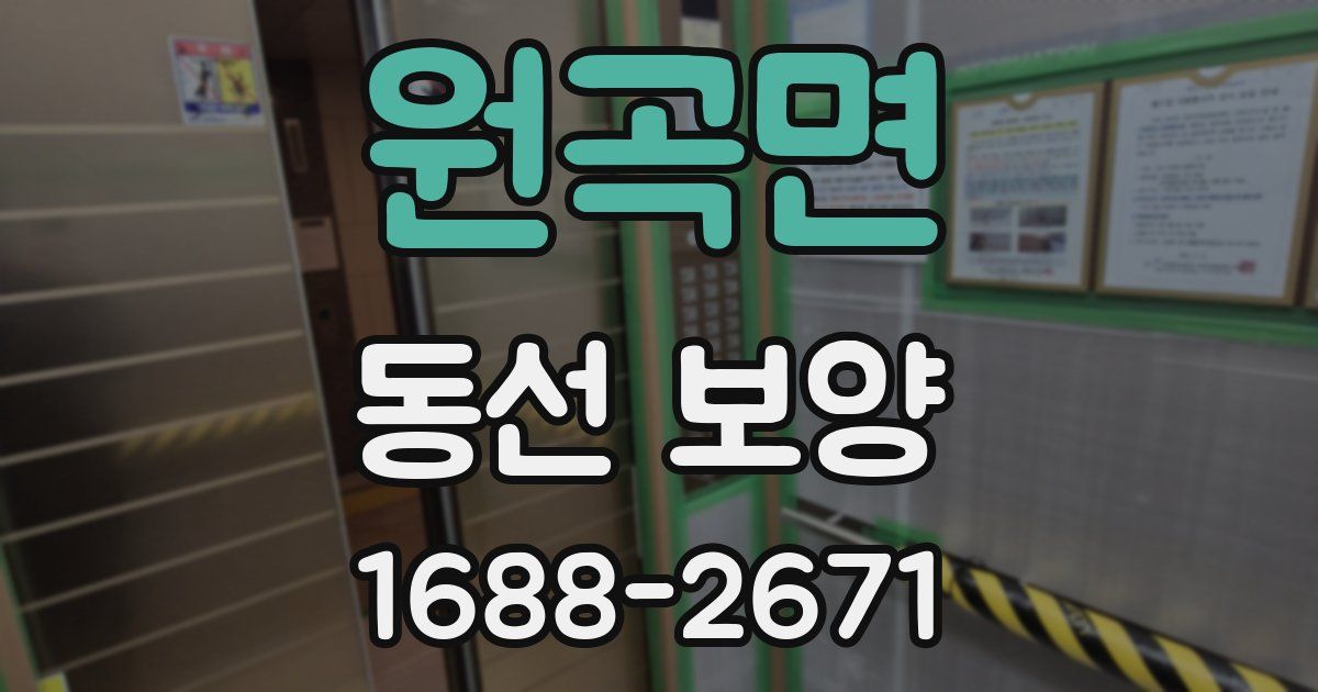 원곡면 동선 보양
