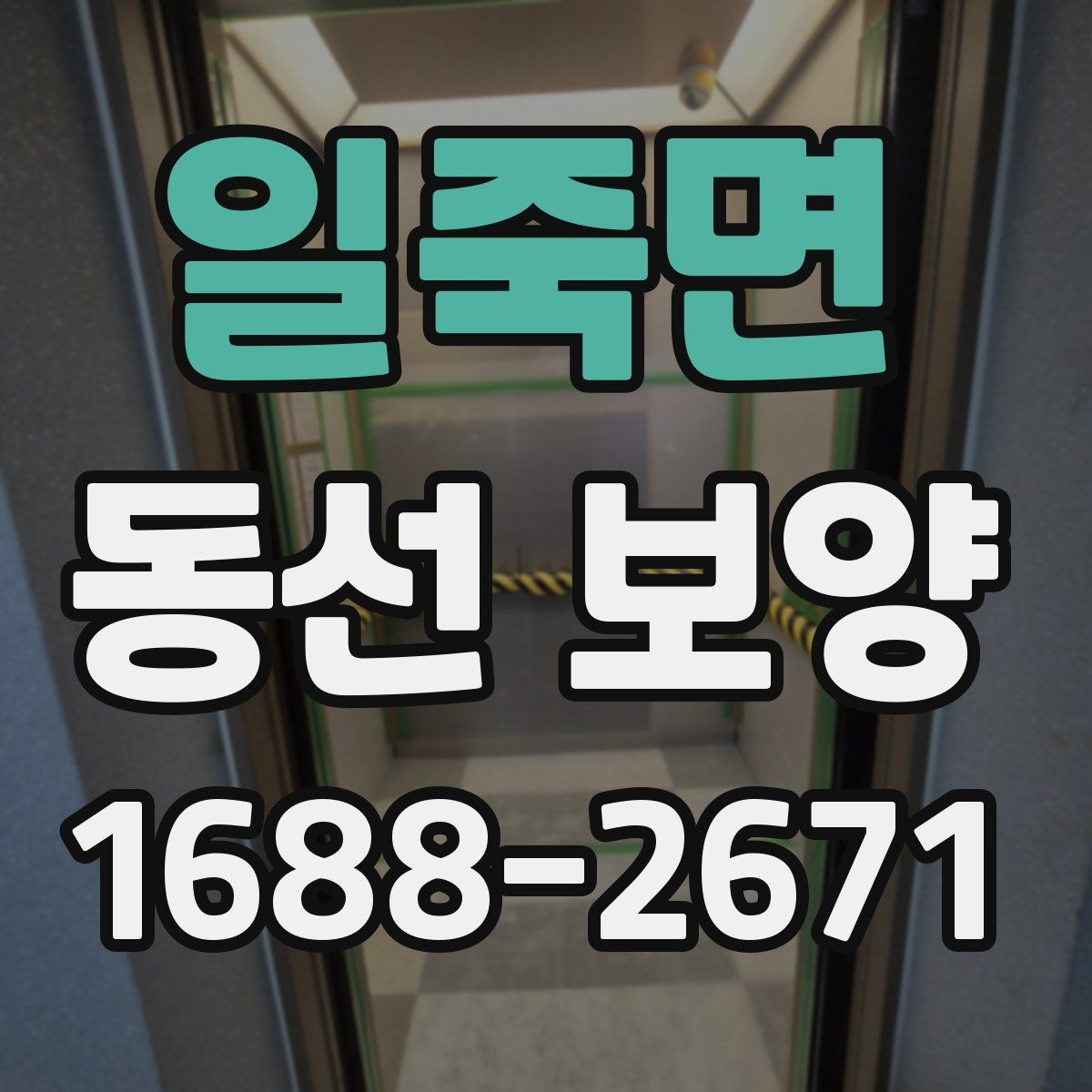 일죽면 동선 보양 작업에서 안전을 우선해야 하는 이유
