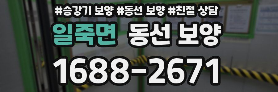 일죽면 동선 보양