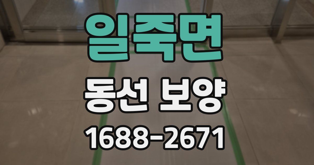 일죽면 동선 보양