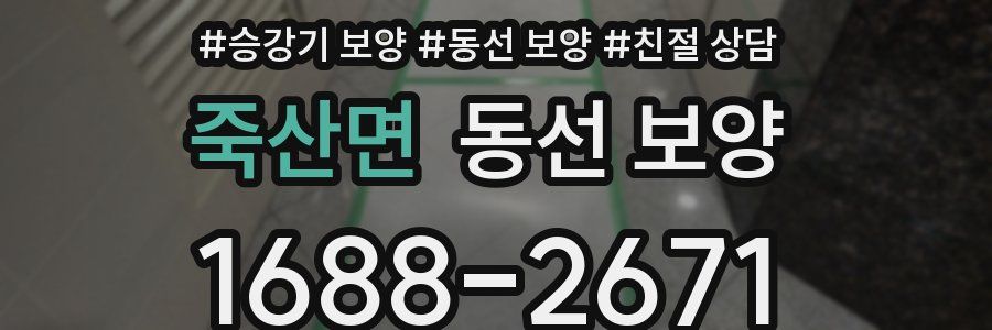 죽산면 동선 보양