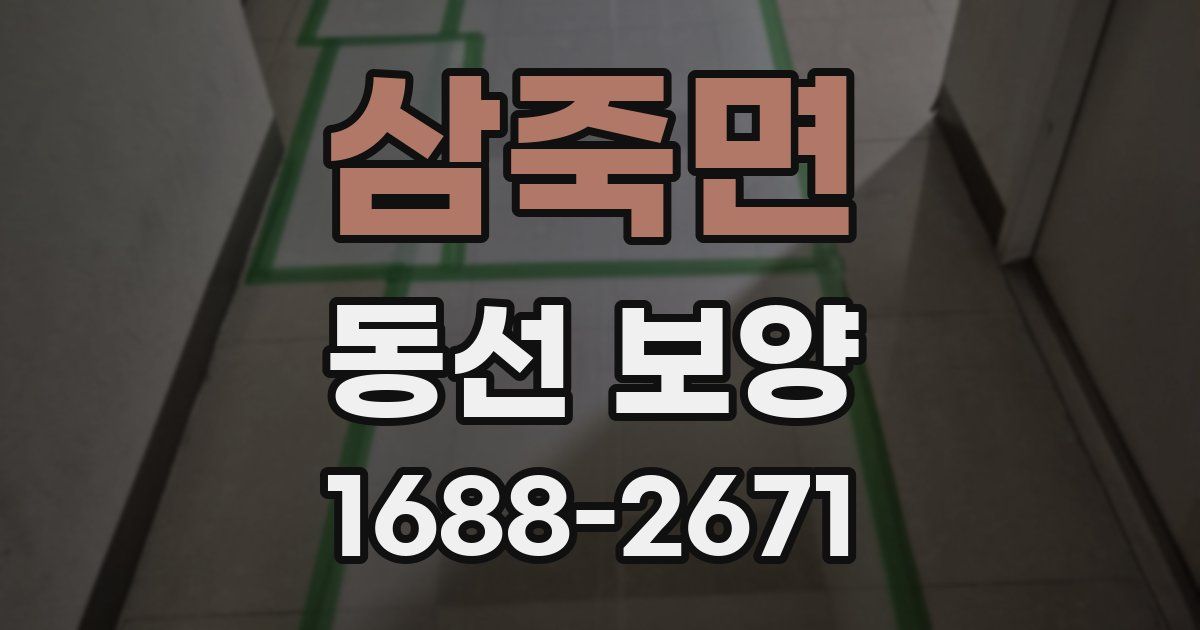 삼죽면 동선 보양