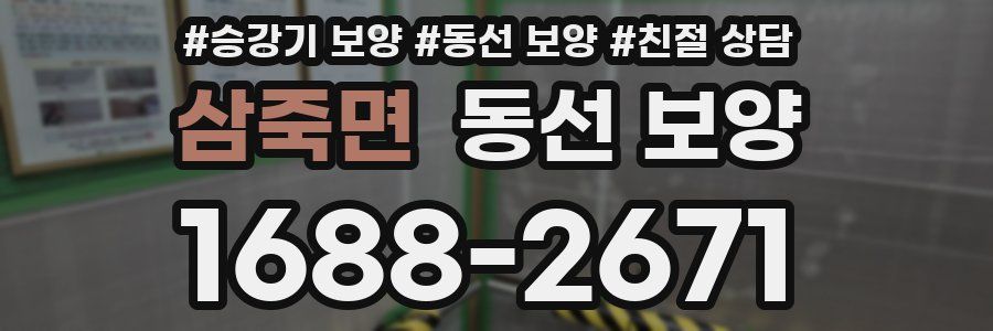 삼죽면 동선 보양