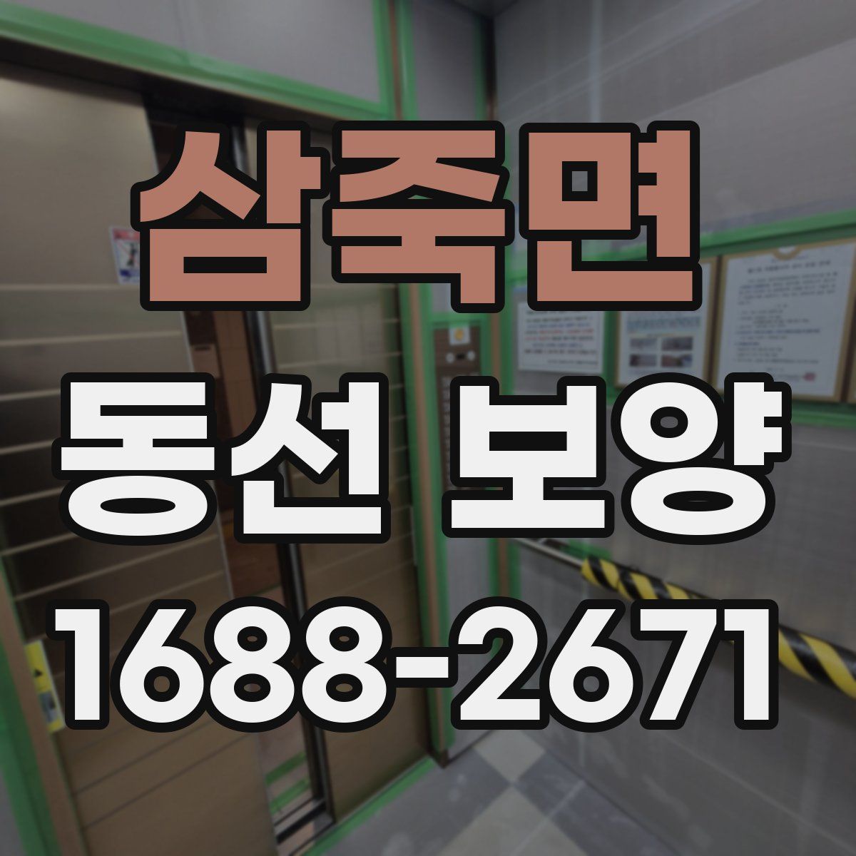 삼죽면 동선 보양