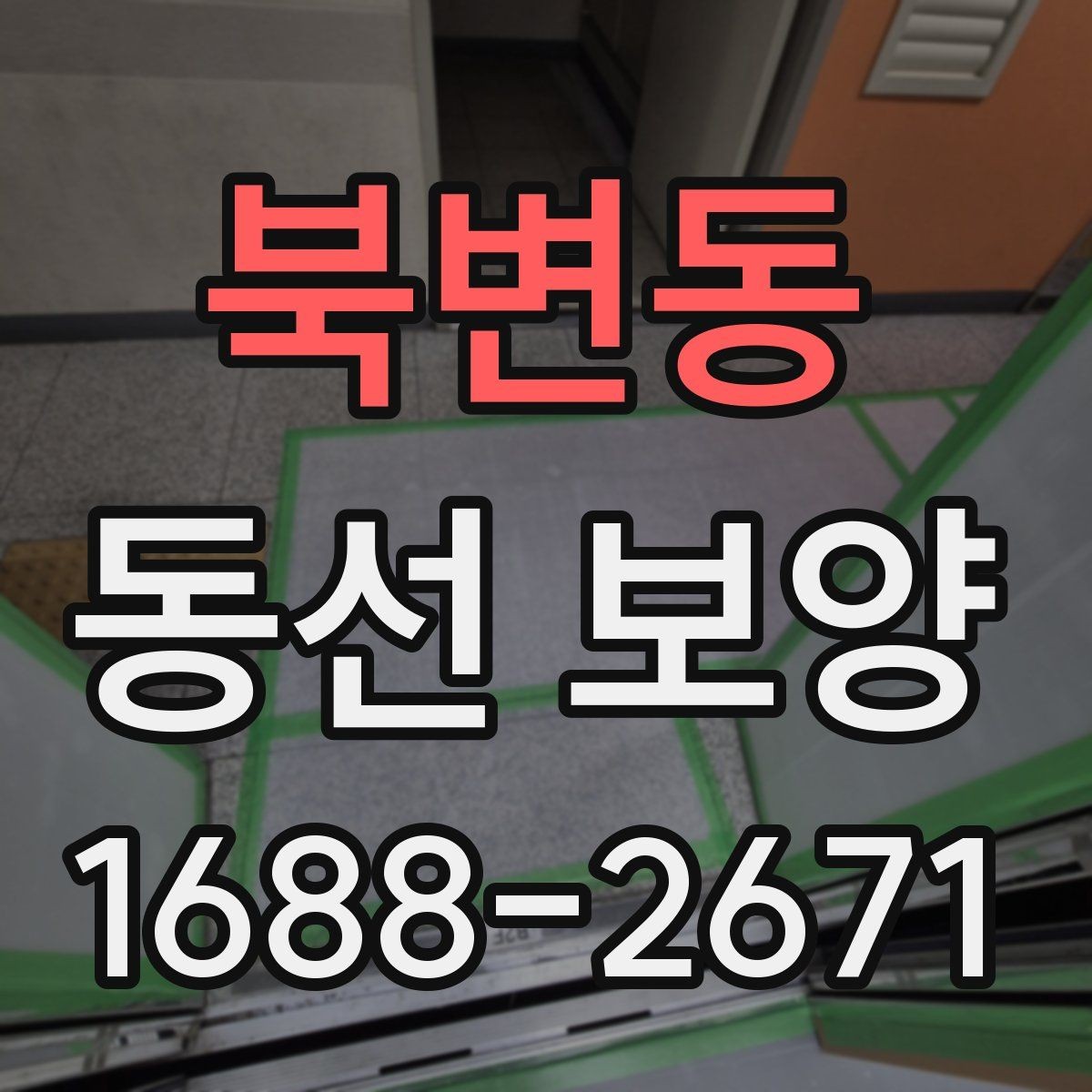 북변동 동선 보양 비교 시 살펴봐야 할 차이점