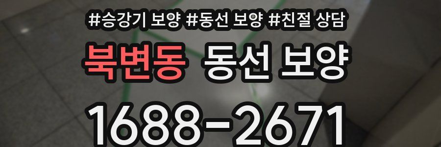 북변동 동선 보양