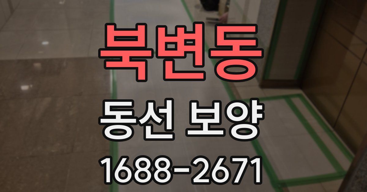 북변동 동선 보양