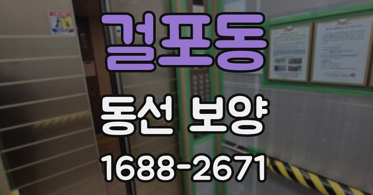 걸포동 동선 보양