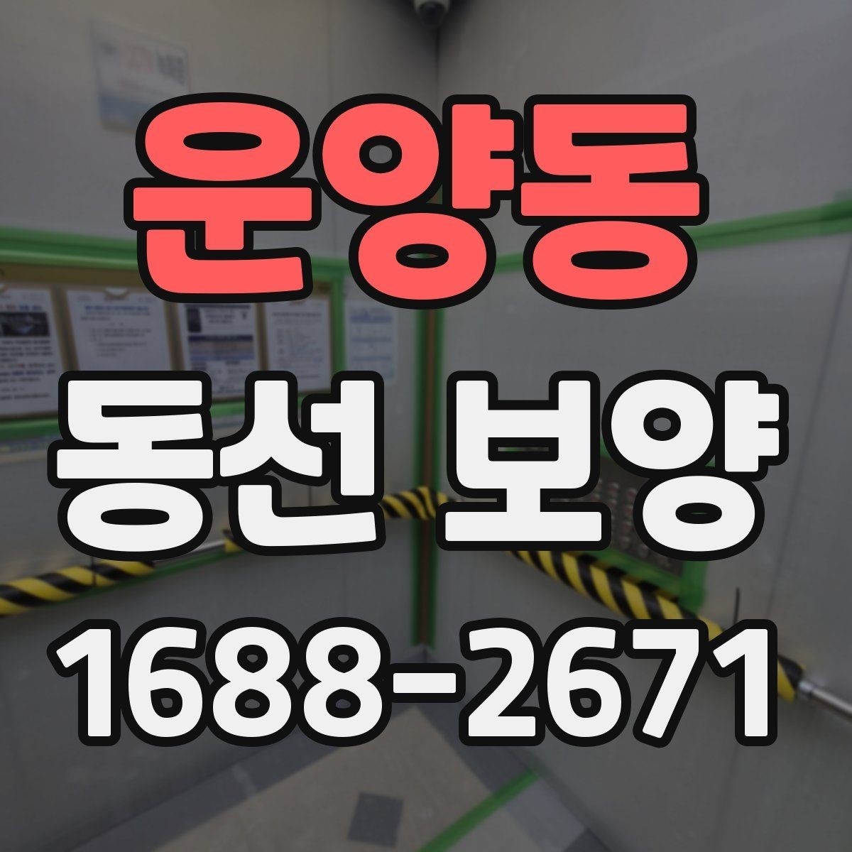 운양동 동선 보양 현장에 맞는 일정 조율 방법