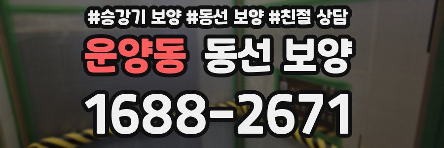 운양동 동선 보양