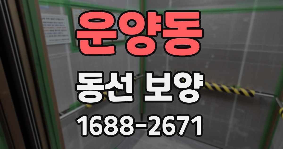 운양동 동선 보양