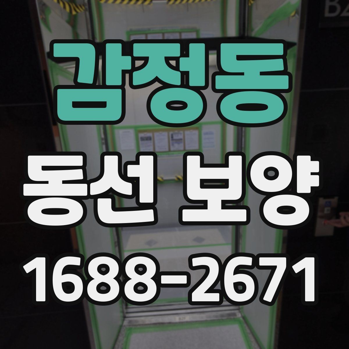 감정동 동선 보양 작업의 마무리를 깔끔하게 하는 방법