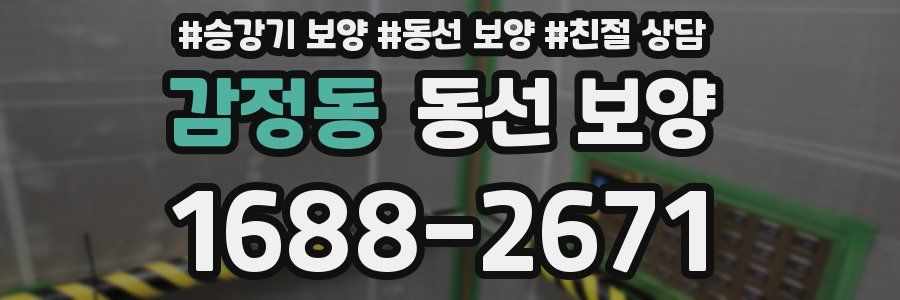 감정동 동선 보양