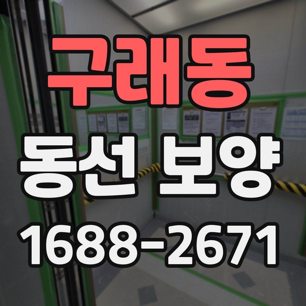 구래동 동선 보양 시 필요한 안전 수칙과 보호 장비