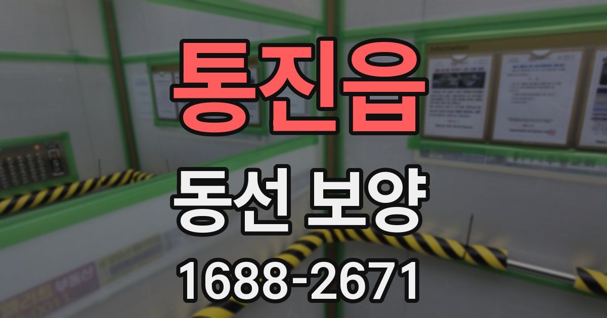 통진읍 동선 보양