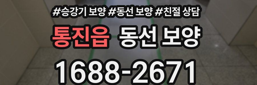 통진읍 동선 보양