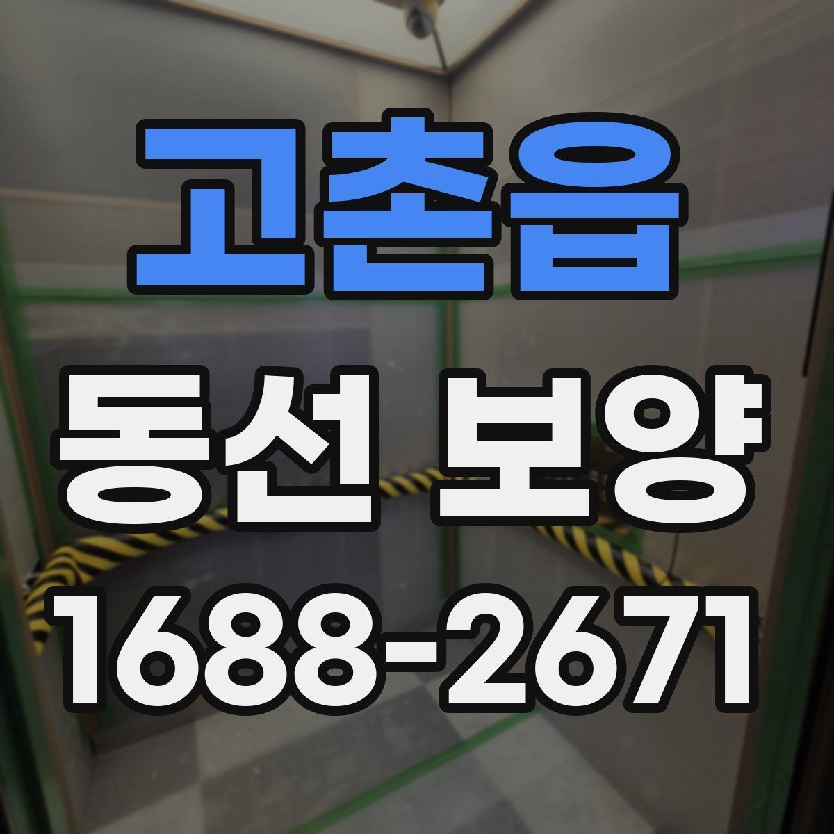 고촌읍 동선 보양 작업 후 점검 순서와 확인 사항