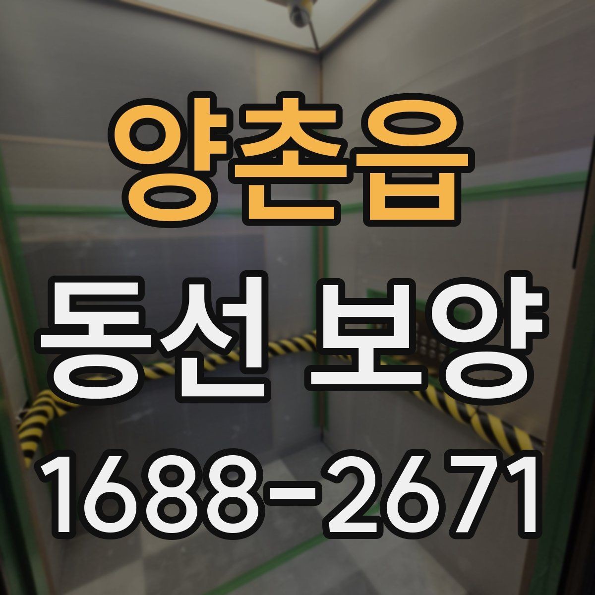 양촌읍 동선 보양 품질 차이를 만드는 작은 요소들