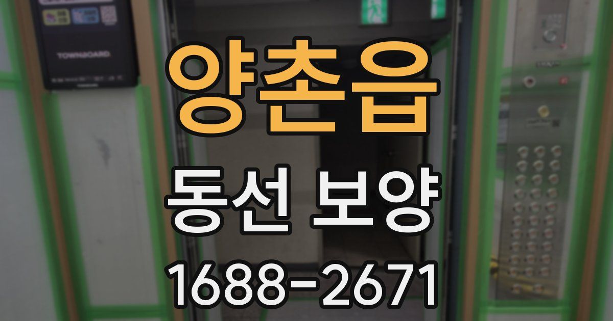 양촌읍 동선 보양