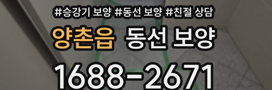 양촌읍 동선 보양