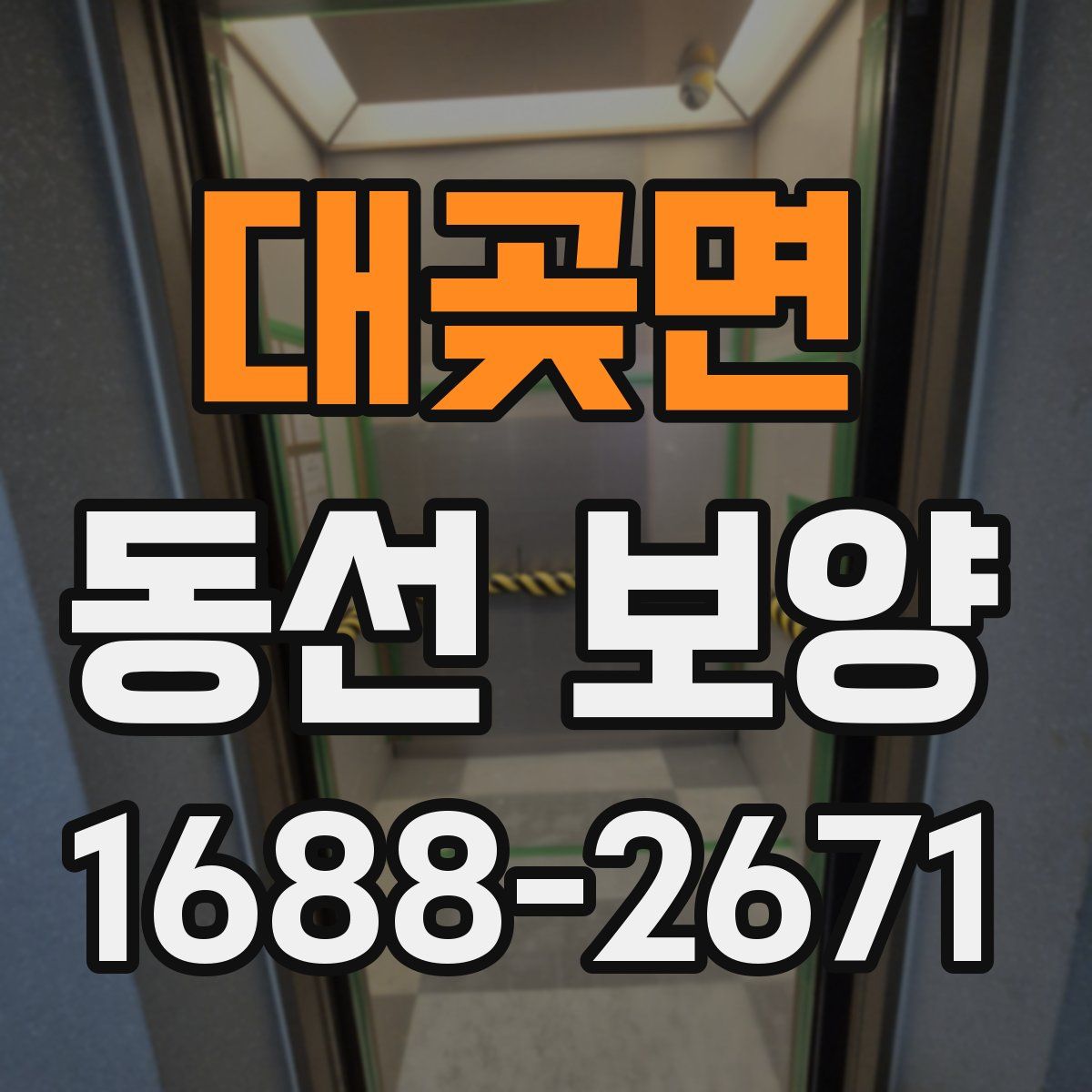 대곶면 동선 보양