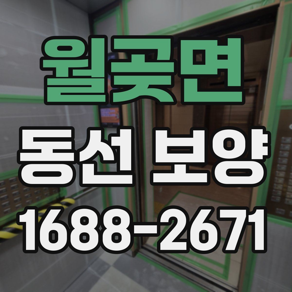 월곶면 동선 보양 작업 순서와 준비 단계