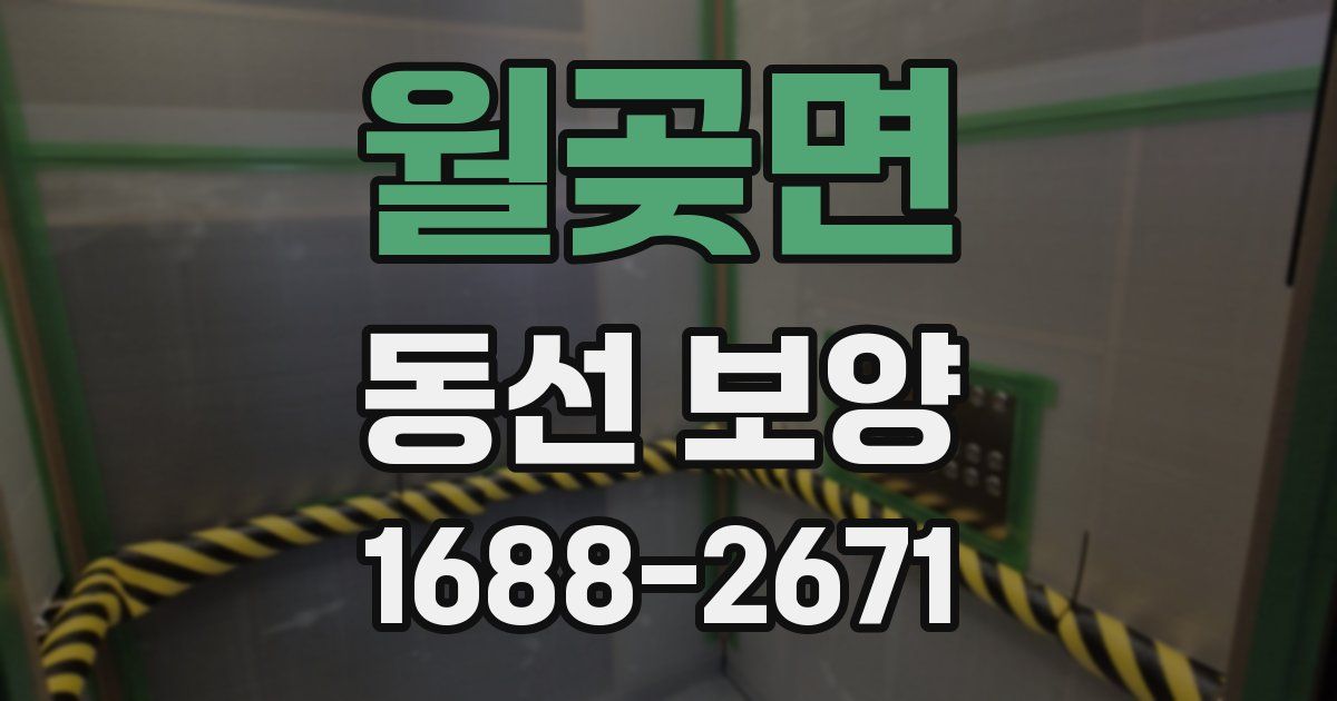 월곶면 동선 보양