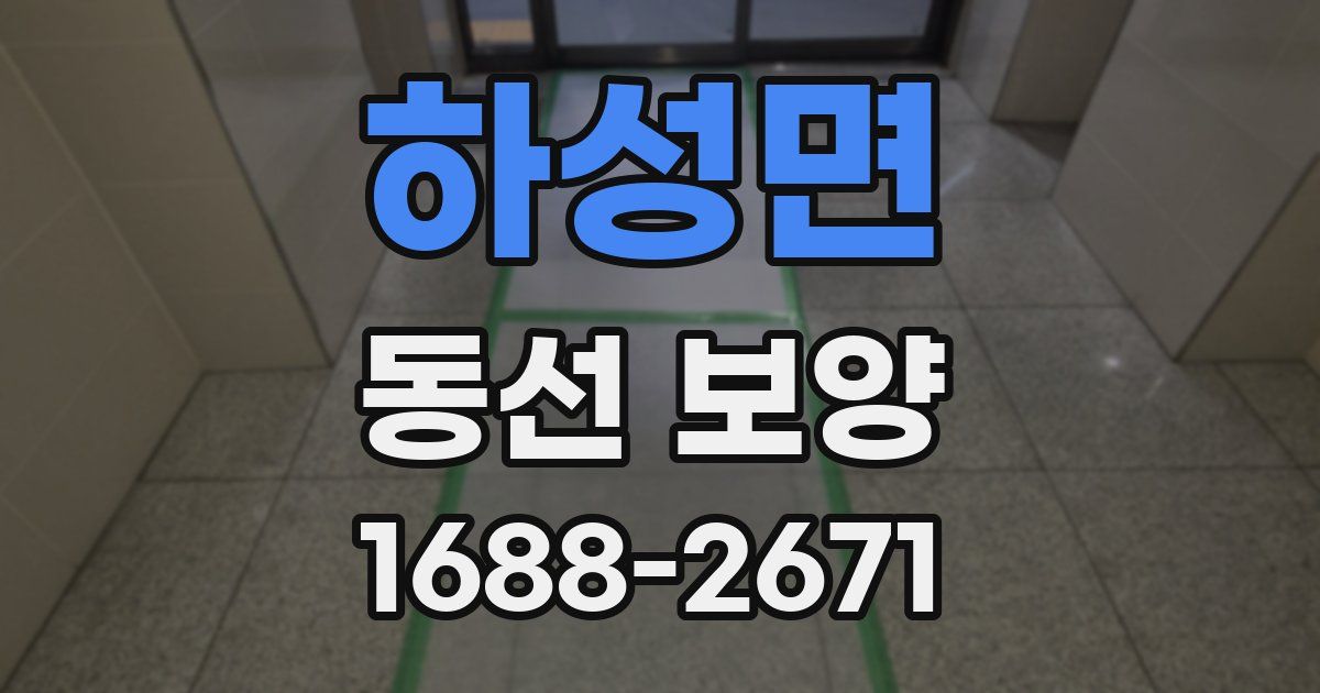 하성면 동선 보양