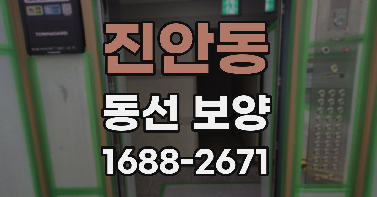 진안동 동선 보양