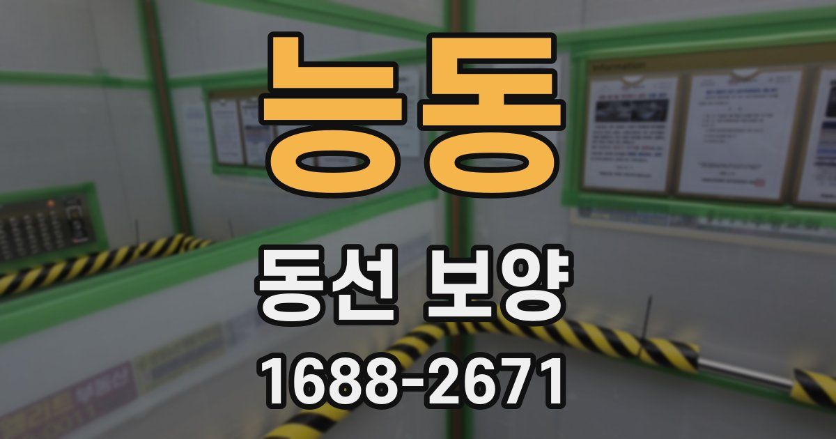 능동 동선 보양