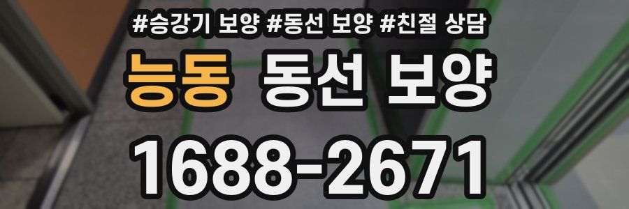 능동 동선 보양