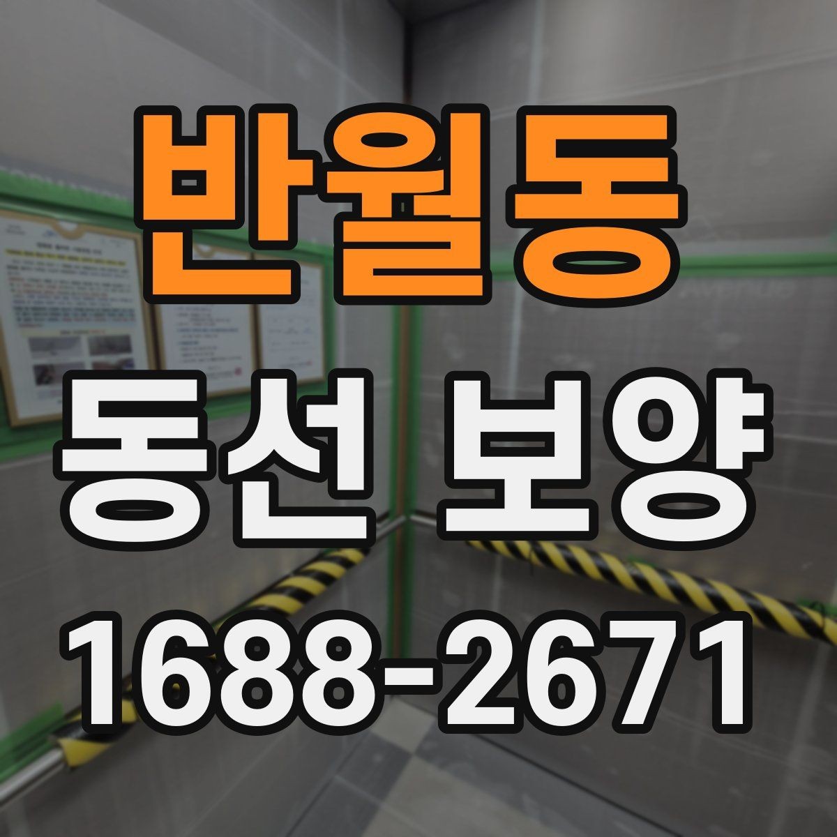 반월동 동선 보양 자재를 바꿨을 때 달라지는 점