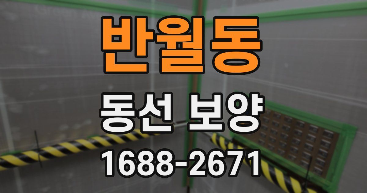 반월동 동선 보양