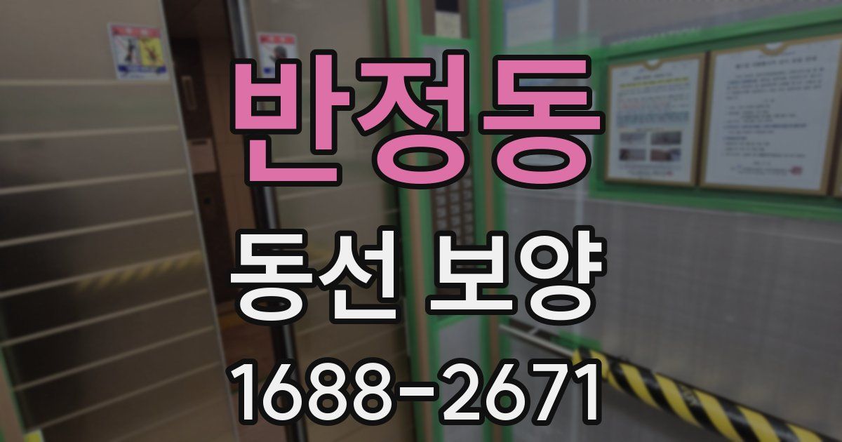 반정동 동선 보양
