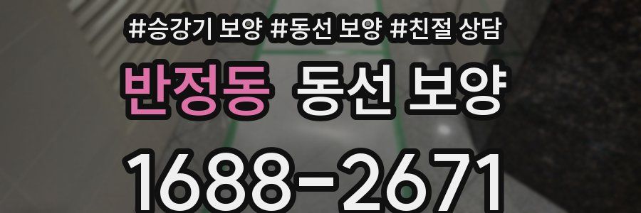 반정동 동선 보양