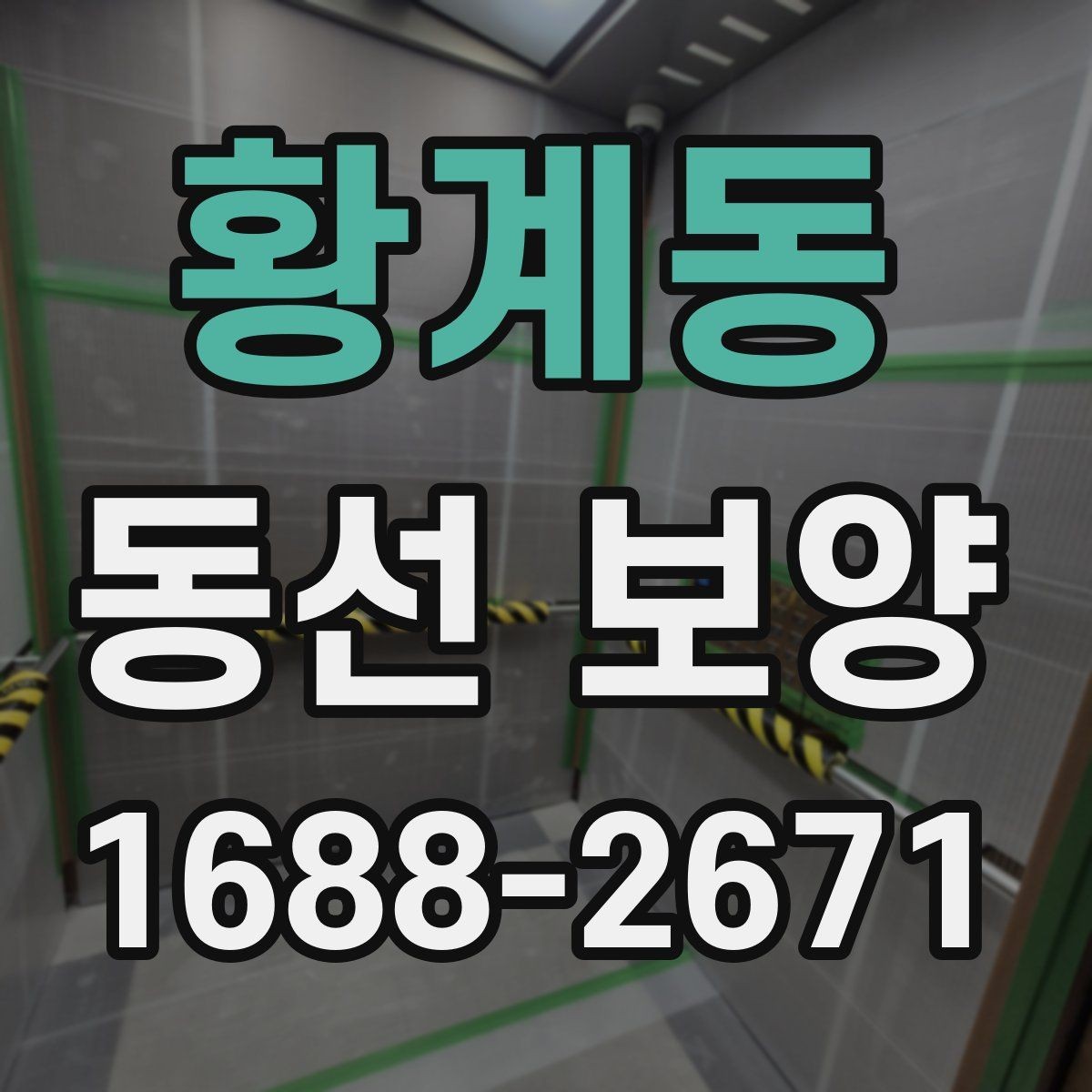 황계동 동선 보양 업체를 고를 때 살펴볼 기준