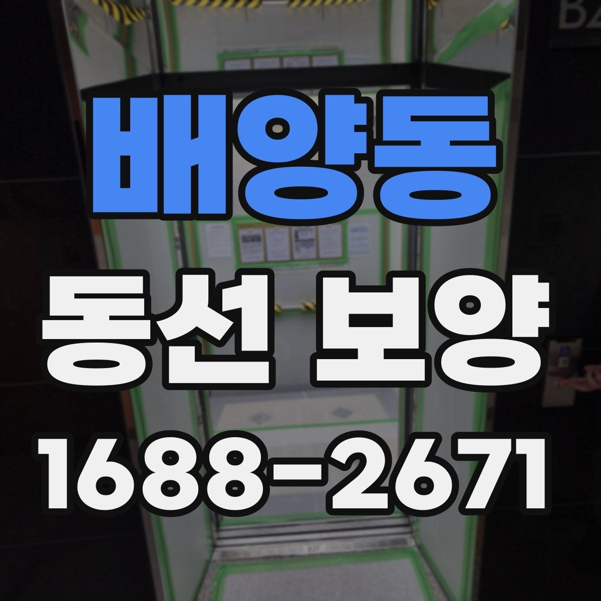 배양동 동선 보양 과정별 역할과 확인 포인트