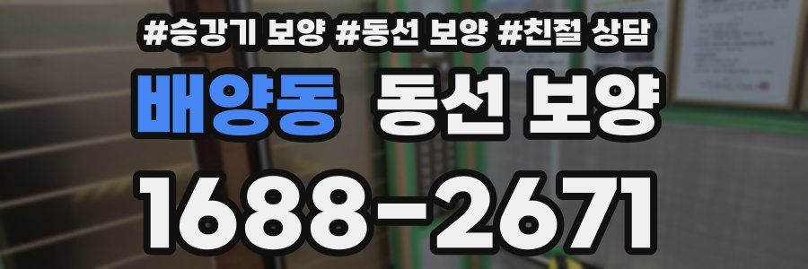 배양동 동선 보양