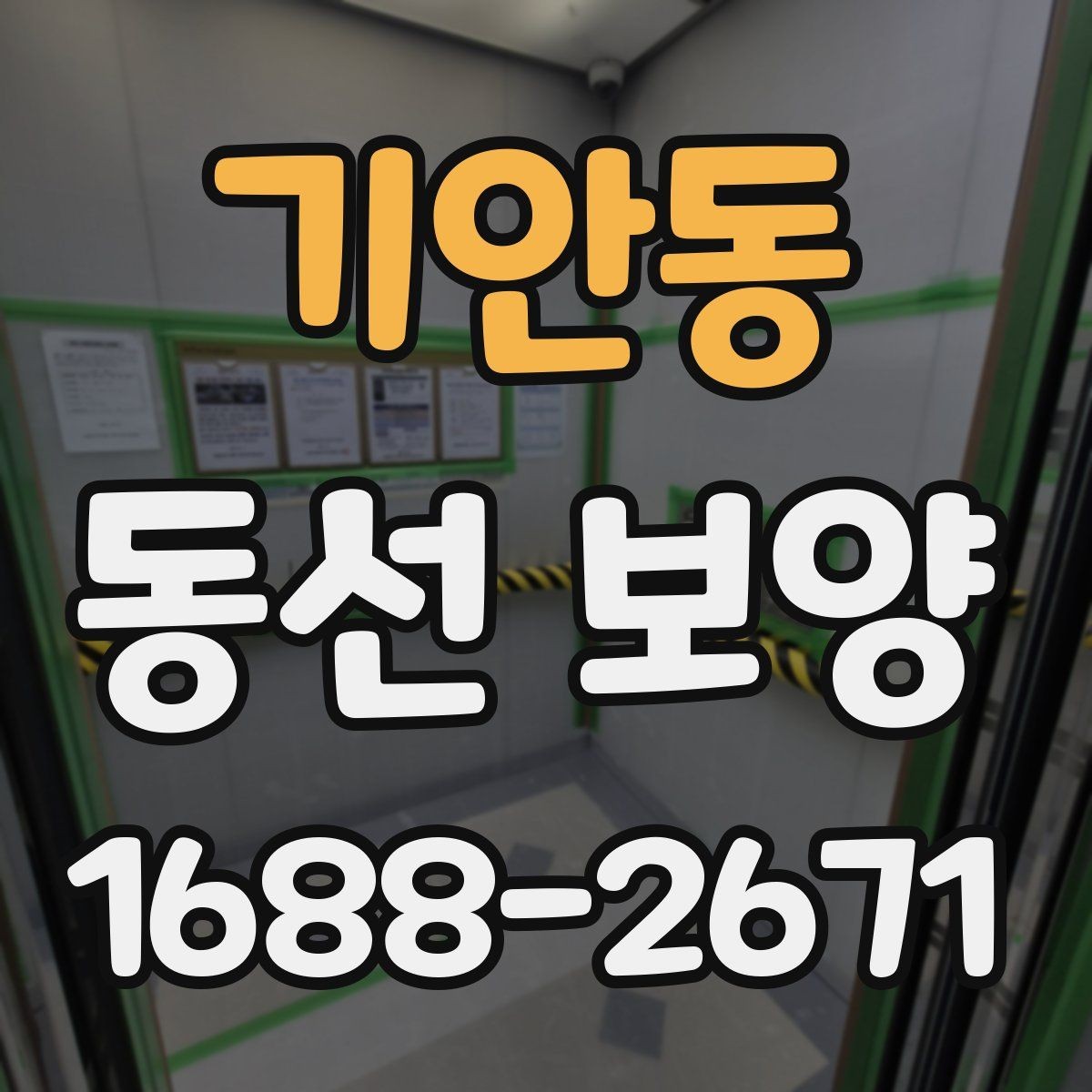 기안동 동선 보양 공사에서 자주 생기는 실수