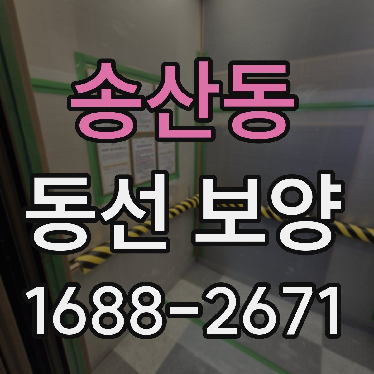 송산동 동선 보양 비용과 범위가 달라지는 상황
