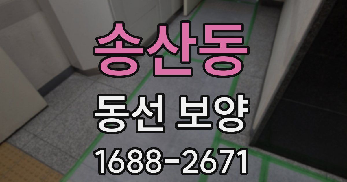 송산동 동선 보양