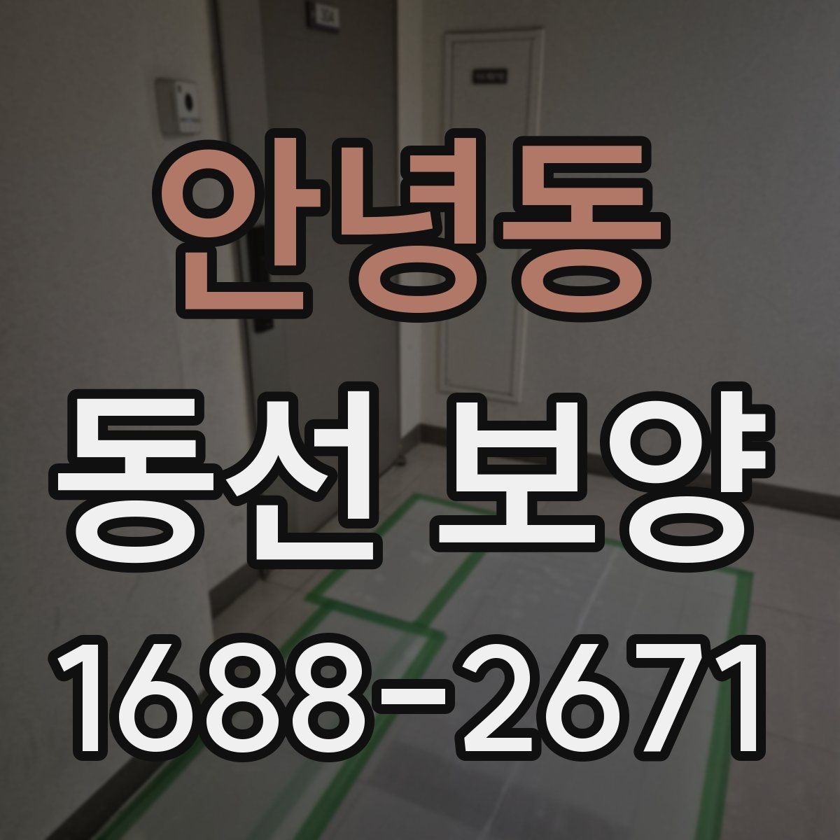 안녕동 동선 보양 진행 중 생길 수 있는 문제와 대응
