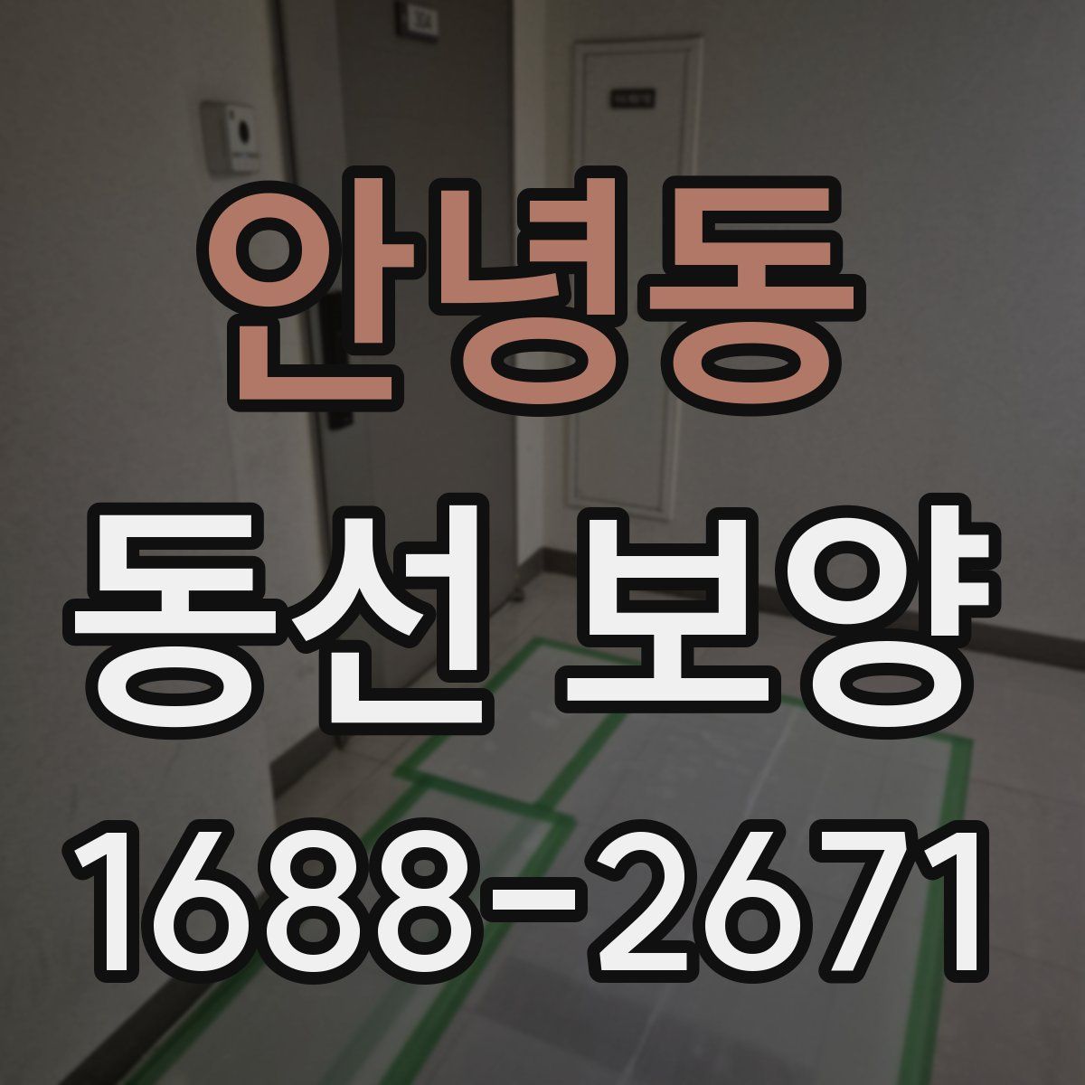 안녕동 동선 보양
