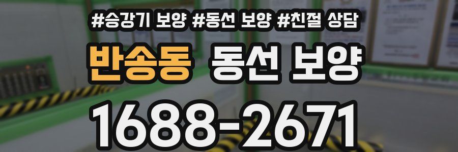 반송동 동선 보양