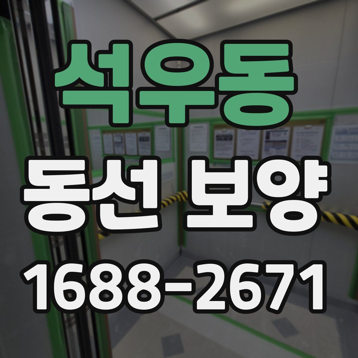 석우동 동선 보양