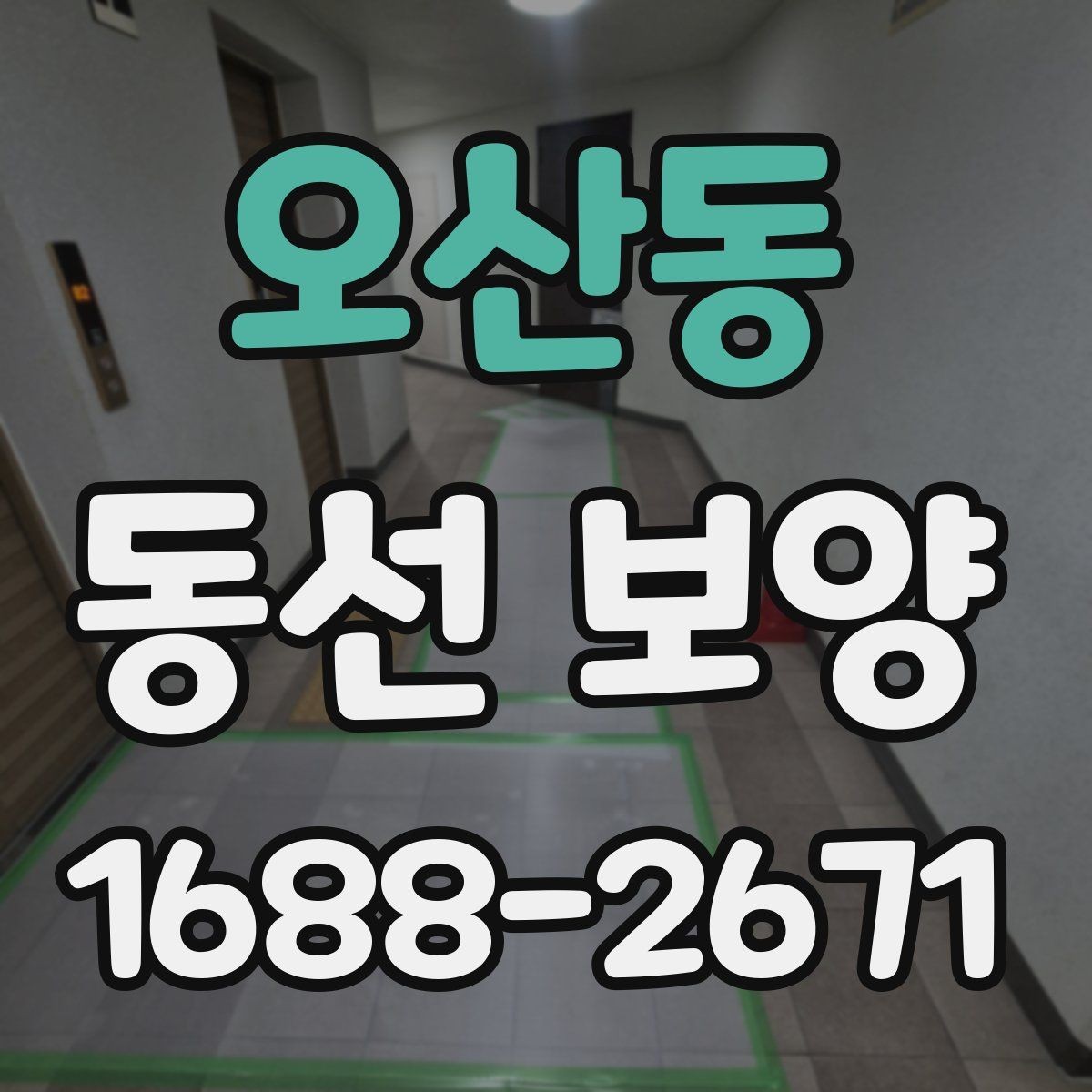 오산동 동선 보양 현장 적용 사례와 작업 노하우